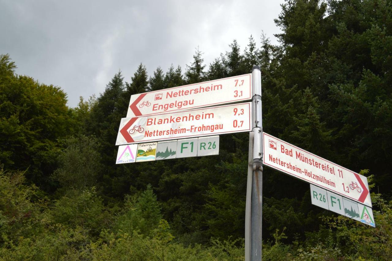 Willa Ferienhaus Eifel Nettersheim Zewnętrze zdjęcie