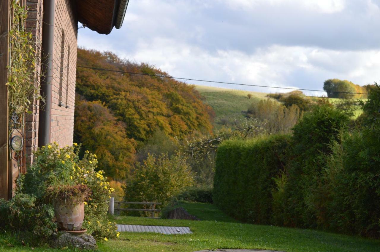 Willa Ferienhaus Eifel Nettersheim Zewnętrze zdjęcie
